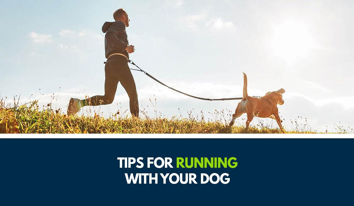 Tips for Running with Your Dog | Challenge in Motion™